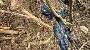 30 Säcke lagen in Arriach im Wald