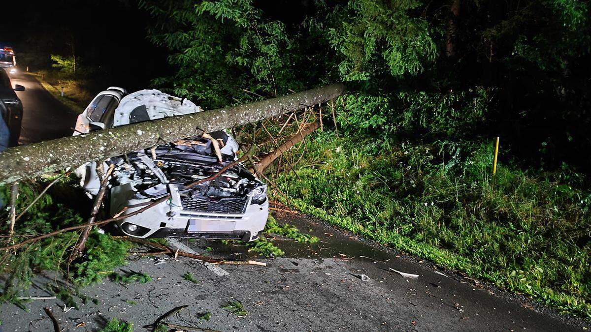 Der Lenker konnte dieses Auto selbstständig und unverletzt verlassen