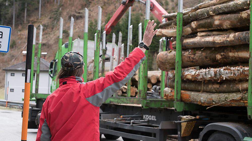 Insgesamt 800.000 Festmeter Holz mussten aus den Wäldern abtransportiert werden