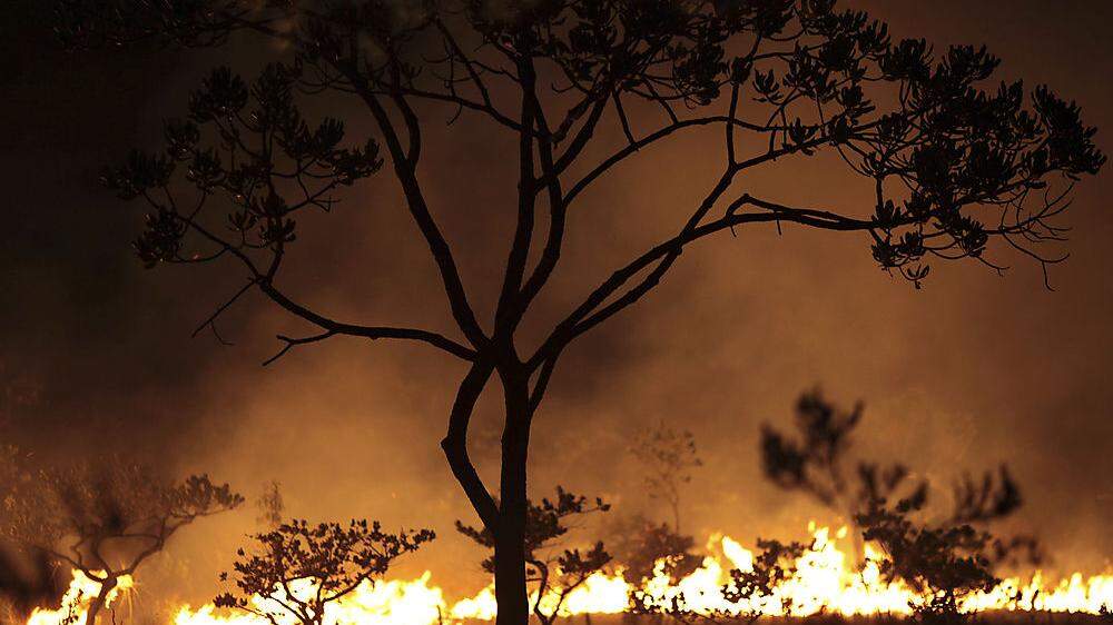 Besonders wüteten die Flammen im Nationalpark Chapada dos Veadeiros im Bundesstaat Goias 