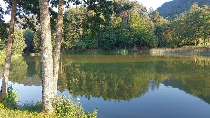 Blick auf einen Teich 