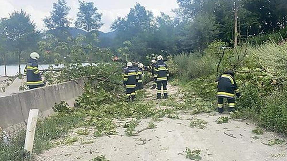 Einsatz für die FF Tainach: Ein Baum blockierte im Hafen von Dullach eine Straße