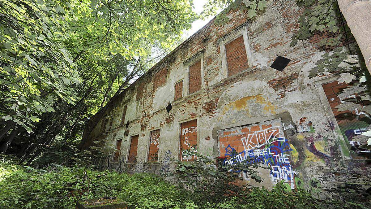 Die Ruine steht seit dem Brand 1984 in diesem Zustand im Wald am Rosenhain