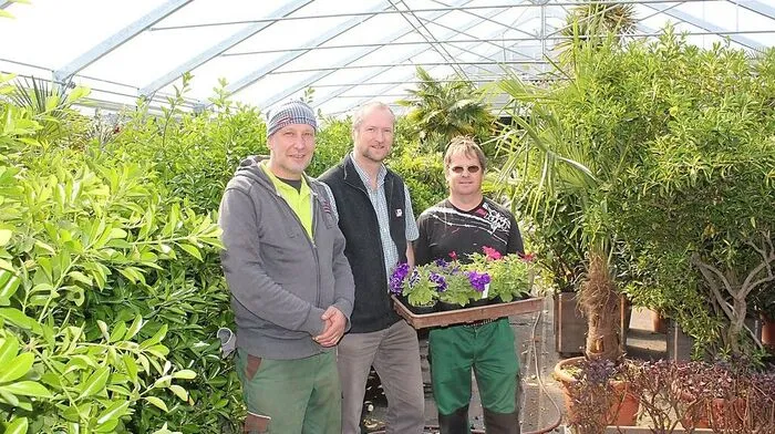Oberlojer, König, Franz Prantl und Team sorgen für blühende Beete in der Sonnenstadt 