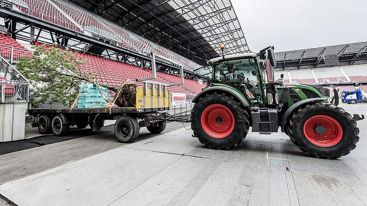 Aktuelle Bilder aus dem Stadion gibt es nicht, die Initiatoren haben ein Fotografierverbot verhängt