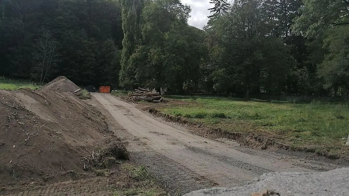 Im Schlossmoaridyll steht kein Baum mehr