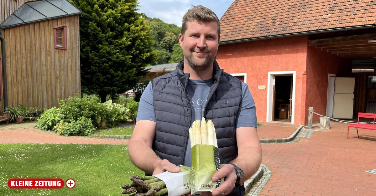 Spargelbauern büßen bis zu 20 Prozent ihrer Ernte ein