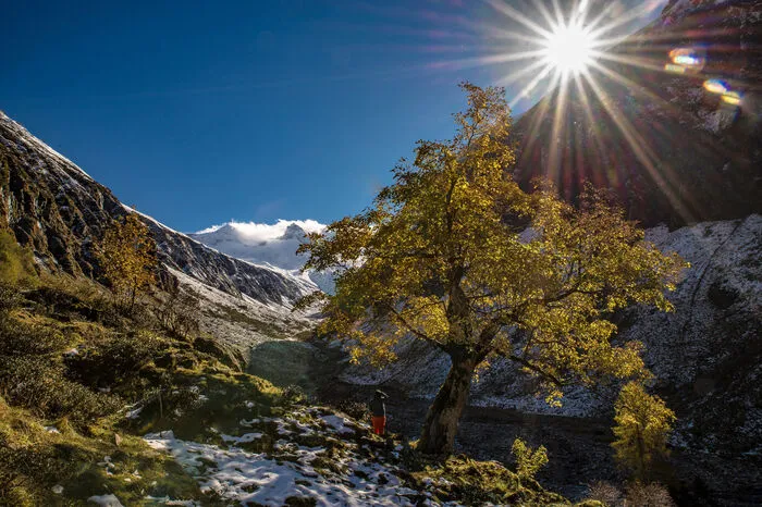 Für Salzburg: Habachtal in Bramberg