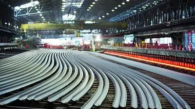  Protektionismus, Abgasskandal und Niedrigwasser auf der Donau hindern am Erreichen des Vorjahres-Rekordergebnisses