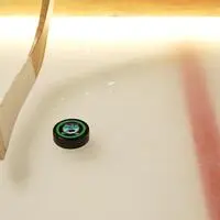 Gespielt wird mit Puck und Eishockeyschläger, Eislaufschuhe braucht man keine