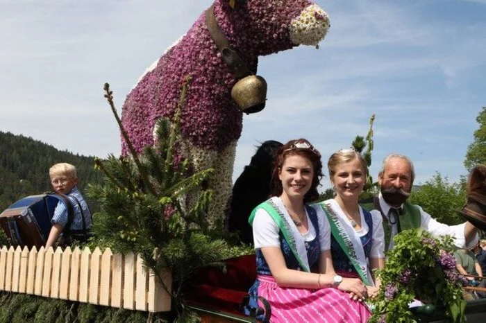 Das Highlight der Veranstaltung war am Sonntag der große Umzug mit rund 500 Teilnehmern.