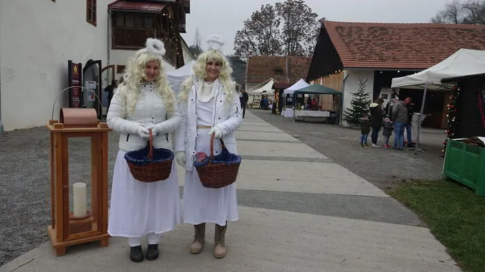 Viele Fotos zum Durchklicken...