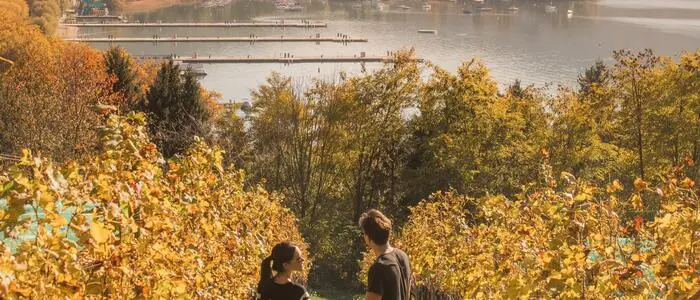Herbst am Wörthersee