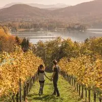 Paare ohne Kinder verreisen besonders gerne im Herbst