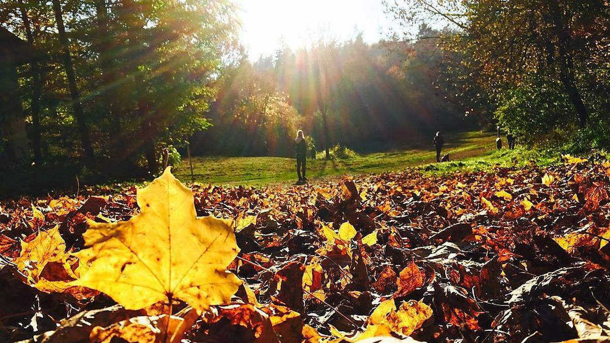 Sonniger Herbstspaziergang auf dem Kreuzbergl in Klagenfurt