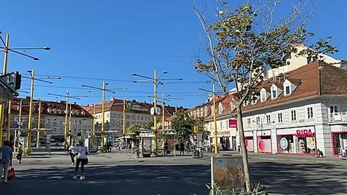 Es gibt gar nicht so wenige Bäume, nur Schatten spenden viele nicht.