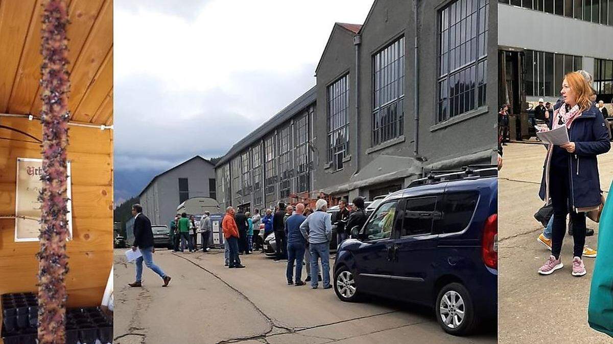 Viele Anrainer brachten bei einer mündlichen Bauverhandlung  auf dem Gelände der Firma Primaras in Eisenerz ihre Sorgen und auch ihre Verägerung vor, dass die im Mai ausgelöste Fliegenplage nicht in den Griff zu bekommen ist. 