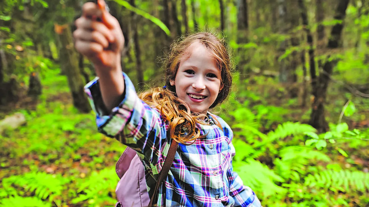 Halte dich an die Regeln: Um die Umwelt zu schützen, solltest du keinen Abfall im Wald zurücklassen