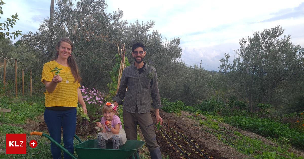 Neues-Leben-in-der-Westt-rkei-Wir-wollten-dem-Ganzen-eine-Chance-geben-