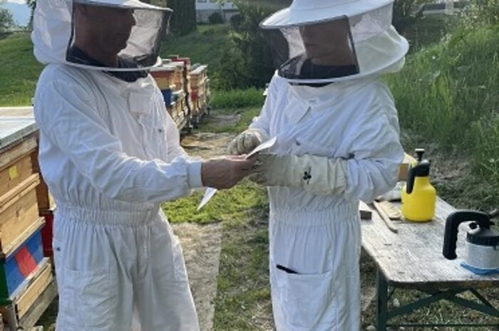 Bevor sie die die einzelnen Bienenwaben begutachten, werfen die Kalteneggers immer einen Blick auf die Stockkarte im Bienenstock.