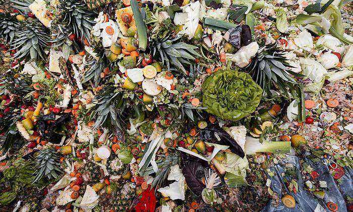 Pro Jahr werden 1,3 Milliarden Tonnen organische Abfälle weggeworfen