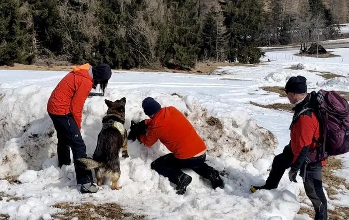 Spielerisch werden die Hunde geschult