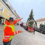 Rudolf Meierhofer von der St. Veiter Stadtgärtnerei freut sich über die Ankunft des Baumes