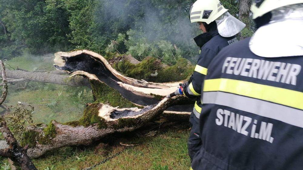 Nach einem Blitzeinschlag stand ein Baum in der Stanz in Flammen
