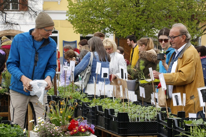 Ein Vielzahl Garten- und Pflanzfreunde besuchten den Markt...