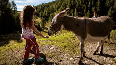 Mit dem Esel geht es dienstags auf die Pollenitz