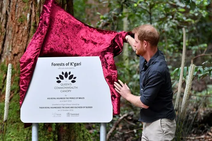 Der Regenwald des bekannten Urlaubsziels gehört nun zum Waldschutzprogramm der Queen in den Commonwealth-Staaten. Prinz Harry enthüllte bei der Aborigine-Zeremonie eine entsprechende Plakette.