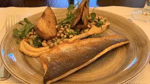 Forellenfilet, zweierlei Sellerie und lauwarmer Bohnensalat.