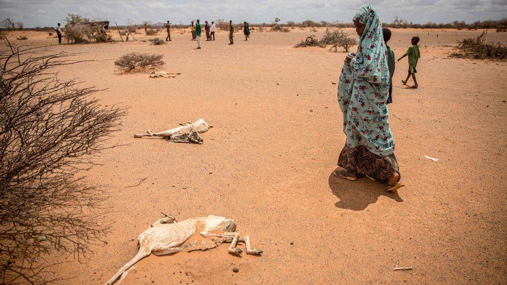 Somalia, April 2022: Ein durch die Dürre vertriebenes Kind