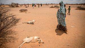 Somalia, April 2022: Ein durch die Dürre vertriebenes Kind
