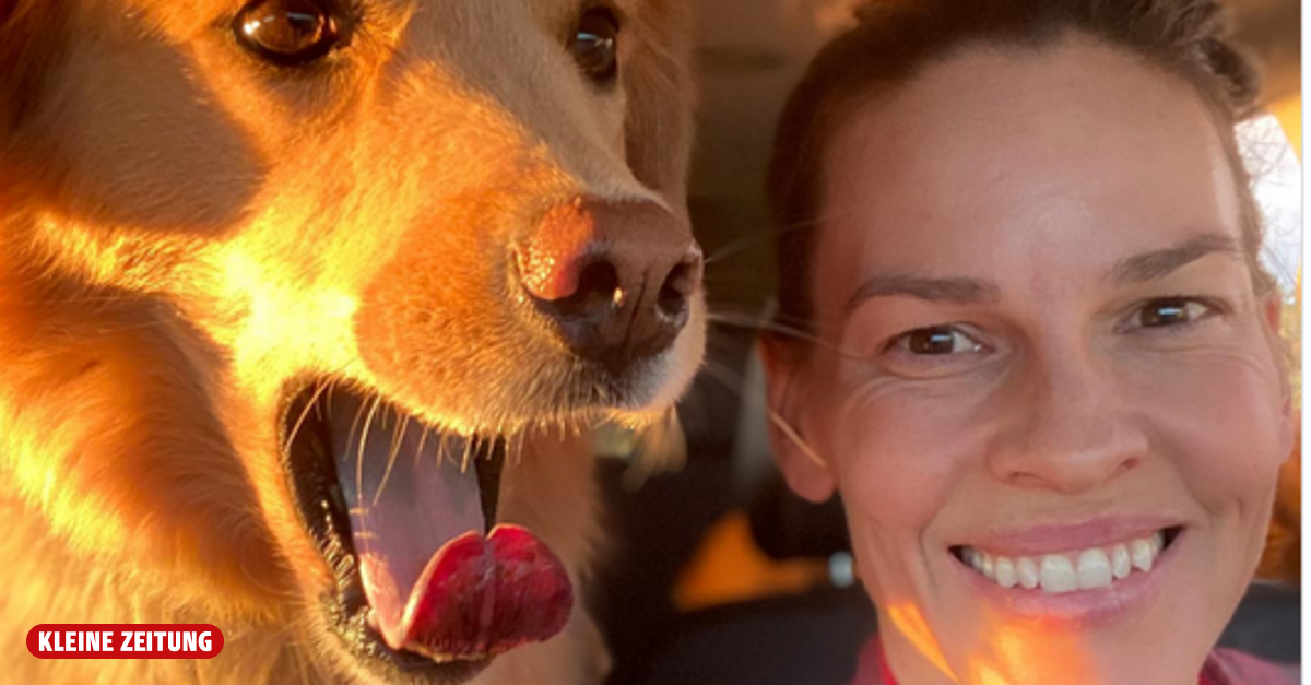Auf den Hund gekommen! Stars und ihre Vierbeiner
