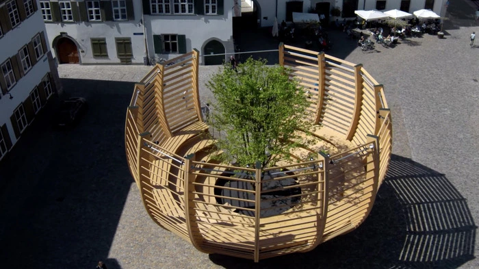 "Arena für einen Baum" nennt sich das Nachfolgeprojekt von "For Forest", das Klaus Littmann nun in Basel zeigt.
