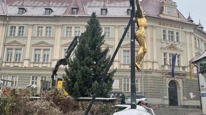 Vor dem historischen Wolfsberger Rathaus steht eine zehn Meter hohe Tanne | Der Christbaum vor dem Wolfsberger Rathaus 