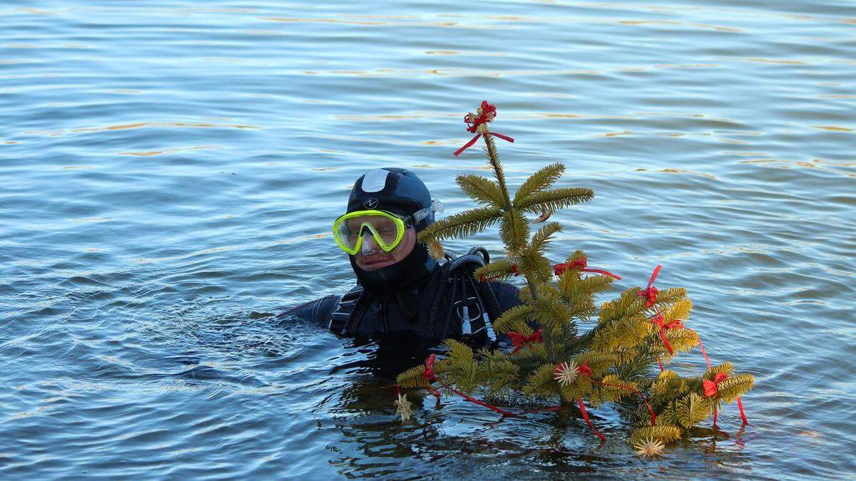 Am Grund des Pibersteinersees werden am Sonntag einige Christbäume &quot;aufgestellt&quot;