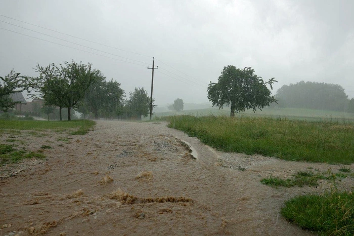 Die mächtigen Gewitter, die über die Bezirke Neunkirchen, Wiener Neustadt, Krems, Zwettl, Gmünd und Waidhofen a.d. Thaya gezogen waren, führten zu 350 Feuerwehreinsätzen, die 1.100 Mitglieder auf Trab hielten.