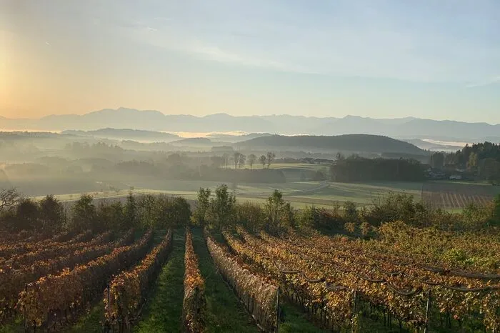 Die Aufnahme von Ewa Fischer-Cloer, - Aussicht auf das Trippelgut - hat sich den dritten Platz geholt.  