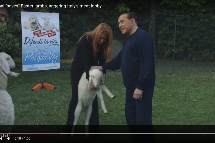 Fünf Lämmer rettete Berlusconi so vor der Schlachtung.