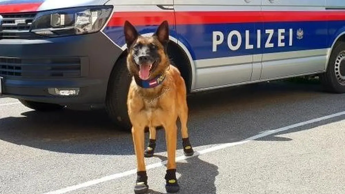 Der "gestiefelte" Polizeihund Spike 