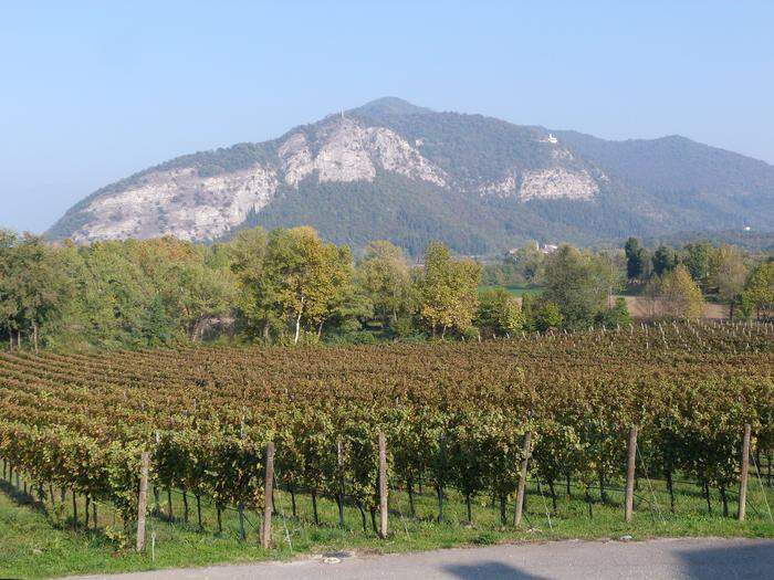 Franciacorta ist das Weinbaugebiet nordwestlich von Brescia