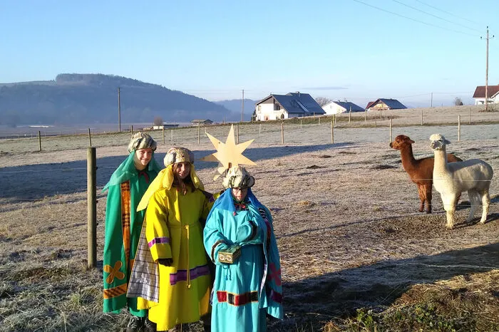 In Söchau schauten die Sternsinger auch bei den Alpakas vorbei.