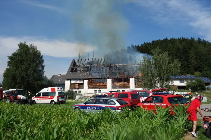 Alle Tiere (19 Kühe, 14 Jungtiere) konnten gerettet werden. Die Kühe wurden von der Familie und Ersthelfern aus dem Stall getrieben, die Jungtiere von den Feuerwehren, nachdem es die Löscharbeiten zugelassen haben.