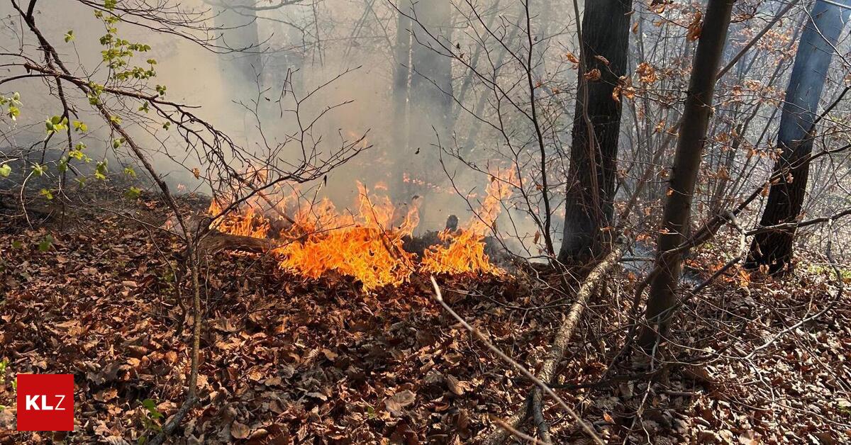 Zwei-Feuerwehren-bek-mpfen-Waldbrand-in-Leoben-Seegraben