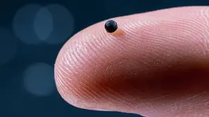 Der winzige Roboter kann Medikamente ins Hirn bringen