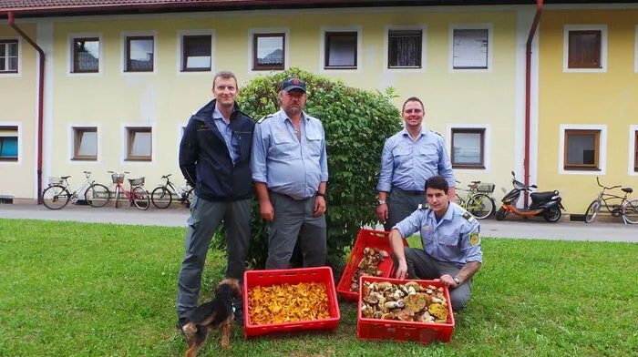 Bergwächter der Einsatzstelle Lienz mit einem Teil der beschlagnahmten Pilze