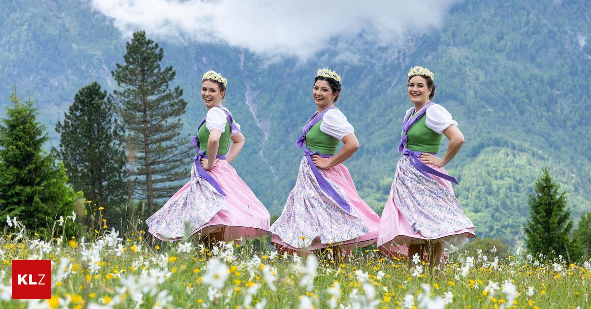 Bewerbungsstart-Narzissenhoheiten-gesucht-Erinnerungen-f-rs-Leben-