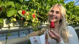 Der Bericht über die Erdbeerländer in der Region war von besonderem Interesse